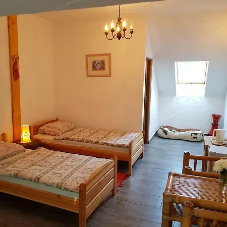 Homestay szállás Maximilian Srokowo