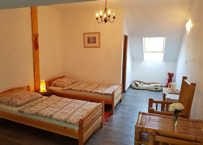 Homestay Maximilian Srokowo